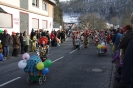2013 Karnevalszumzug Ahrbrück_2