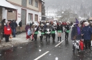 Karnevalsumzug 2010_5