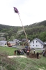 Maibaum 2010_11