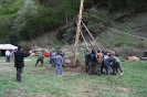 Maibaum 2010_16