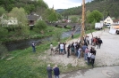 Maibaum 2010_22