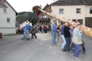 Maibaum 2010_31