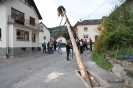 Maibaum 2010_32