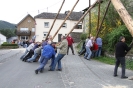 Maibaum 2010_40