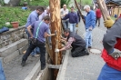 Maibaum 2010_46