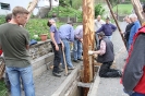 Maibaum 2010_48