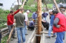 Maibaum 2010_49